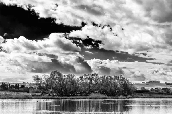 Träd i dammen under en dramatisk himmel — Stockfoto