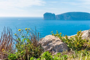 Capo Caccia görünümünde bahar güneşli gün