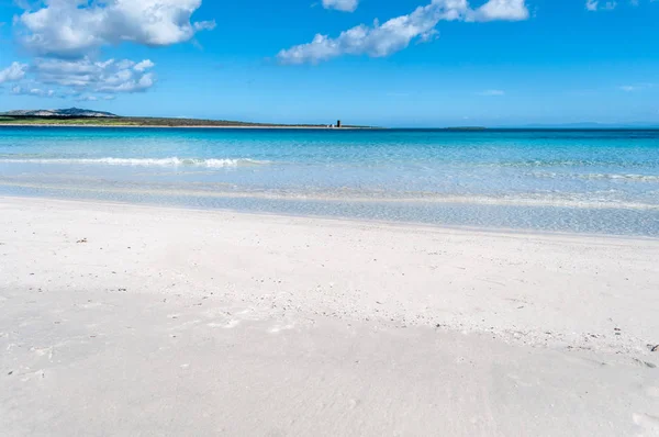 Stintino Sardunyalı beach görünümünü — Stok fotoğraf