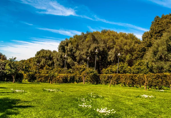 Der park von monserrato, sassari, bei sonnigem tag — Stockfoto