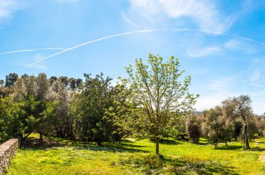 Park, Monserrato, Sassari, güneşli gün