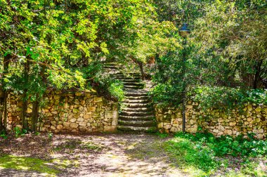 park içinde taş merdivenle