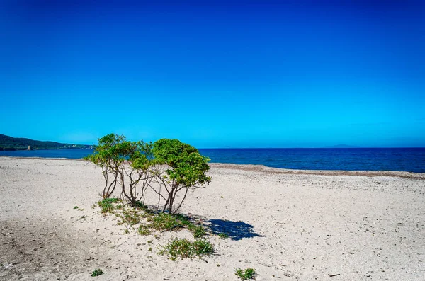 Sardynii plaży na wiosnę — Zdjęcie stockowe