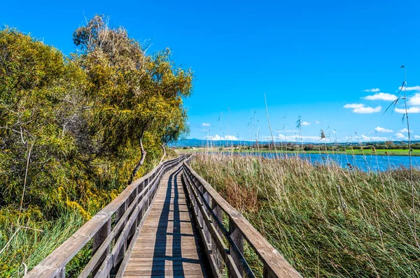 Trä sökväg i damm av Platamona — Stockfoto