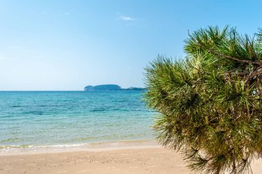 Capo Caccia Mugoni beach üzerinden görünümünü