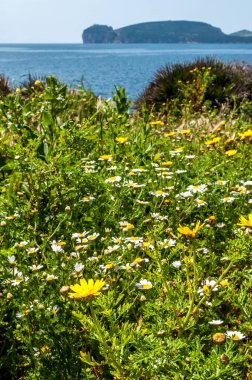 Capo Caccia Maristella yakınındaki kıyıdan görünümünü