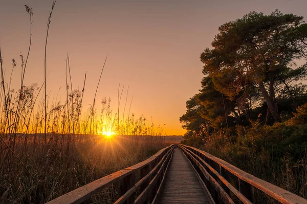 Solnedgång vid dammen i Sardinien — Stockfoto