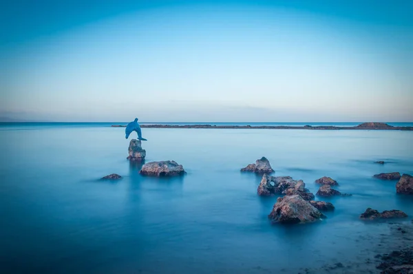 Długich ekspozycji statui Delfin w wodzie na Sardynii - to — Zdjęcie stockowe