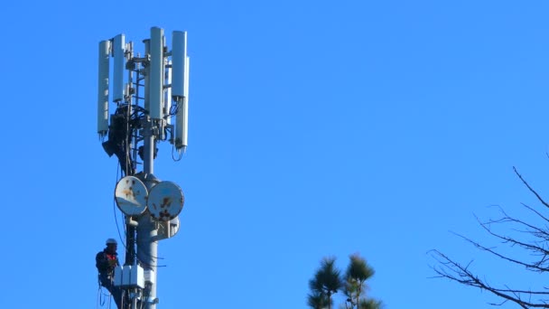 Travailleurs Travaillant Sur Une Antenne Signal Cellulaire Dans Pays Sous — Video