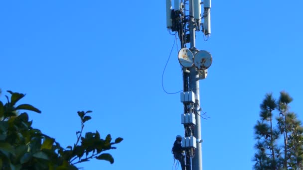 Pracownicy Pracujący Nad Anteną Sygnału Komórkowego Kraju Pod Błękitnym Słonecznym — Wideo stockowe