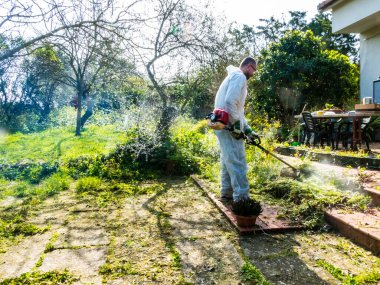 Beyaz takım elbiseli bir adam güneşli bir günde bahçedeki çimleri biçiyor.