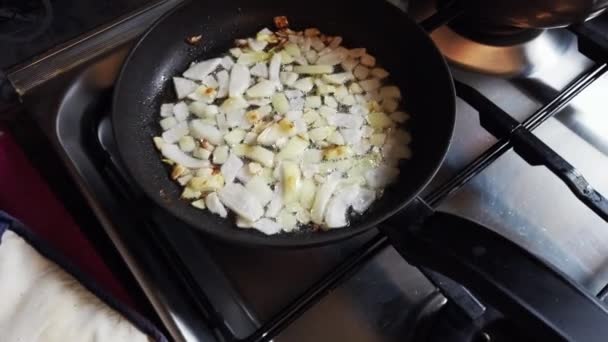 鍋に玉ねぎソースをかけた鍋料理の眺め — ストック動画