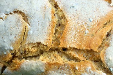 Kahverengi çıtır çıtır ekmekli ev yapımı glutenfree ekmek.