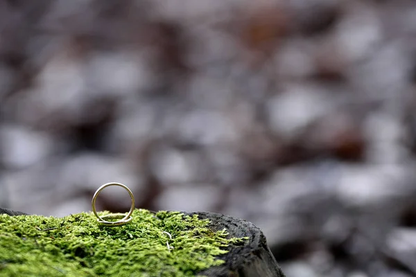 Dos Anillos Boda Dorados Brillantes Musgo Verde Muñón Primer Anillo —  Fotos de Stock