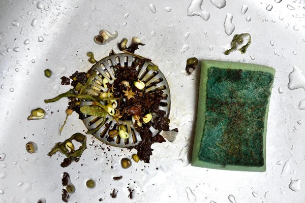 Nasty clogged strainer in stainless sink, vegetables in waste, hygiene, green kitchen sponge.