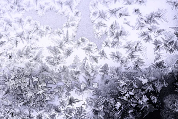 Isöverdrag Vid Glas Fraktal Blommar Vinterbild Frostat Fönster Blå Och — Stockfoto