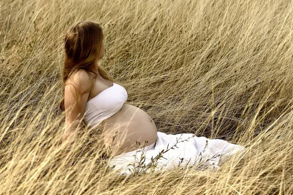 Schwangere Weißen Kleid Sitzt Goldenen Hohen Gras — Stockfoto