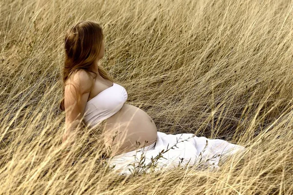 Fille Enceinte Robe Blanche Assise Dans Herbe Haute Dorée — Photo