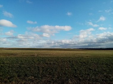 Güzel tarla. Bulutlu gökyüzü. Güneşli bir gün. Yeşil açıklık.