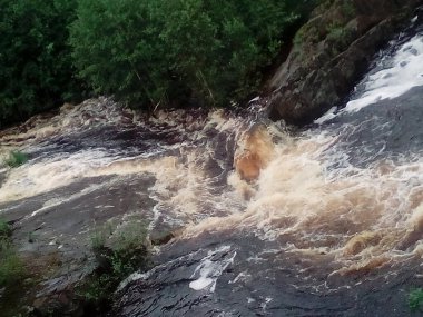 Ağaçlar, su kaynadı, hızlı akış köpük ve ağaç dallarından oluşan adalar taşıdı..