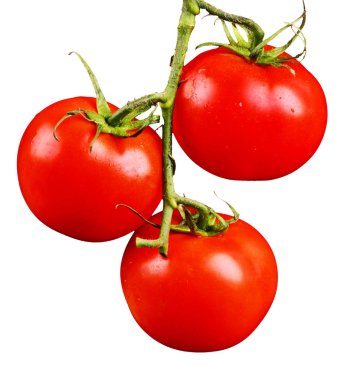 Şube siyah arka plan üzerine domates. Üstten Görünüm