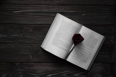 Kırmızı bir gül çiçek ile açık bir kitap yazıyor. Ahşap arka plan.