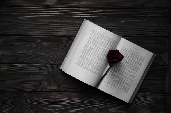 Kırmızı bir gül çiçek ile açık bir kitap yazıyor. Ahşap arka plan.