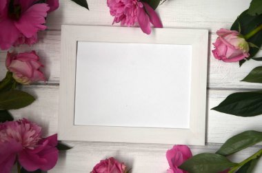 Beyaz rustik ahşap zemin üzerinde pembe peonies çarpıcı. Uzay kopyalayın. Resim veya fotoğraf için beyaz çerçeve