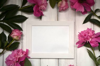 Beyaz rustik ahşap zemin üzerinde pembe peonies çarpıcı. Uzay kopyalayın. Resim veya fotoğraf için beyaz çerçeve