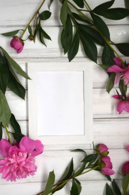 Beyaz rustik ahşap zemin üzerinde pembe peonies çarpıcı. Uzay kopyalayın. Resim veya fotoğraf için beyaz çerçeve