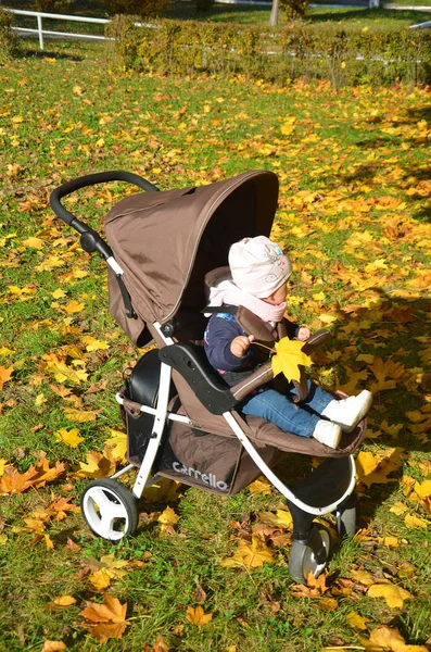 Kinderen spelen in de herfst park. Kinderen gooien van gele en rode bladeren. Baby met eik en esdoorn blad. Fall gebladerte. Buiten Familieplezier in de herfst. Peuter kind of peuter kind in herfst. — Stockfoto