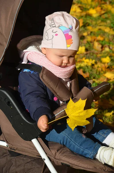 Kinderen spelen in de herfst park. Kinderen gooien van gele en rode bladeren. Baby met eik en esdoorn blad. Fall gebladerte. Buiten Familieplezier in de herfst. Peuter kind of peuter kind in herfst. — Stockfoto