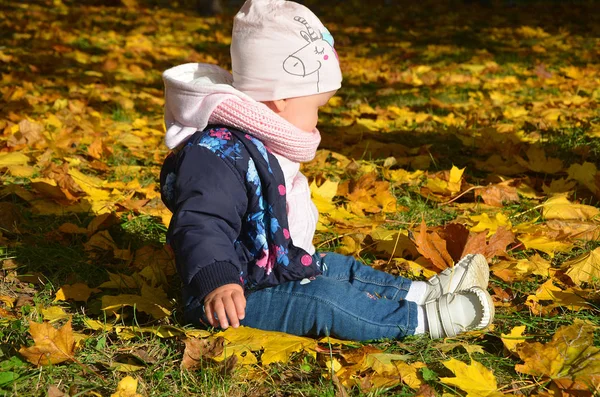Herfst outdoor portret van mooi gelukkig kind meisje wandelen in park of bos in warme gebreide sjaal — Stockfoto