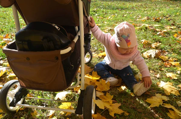 Gelukkig baby in een wandelwagen kijkt uit lachen in het park — Stockfoto