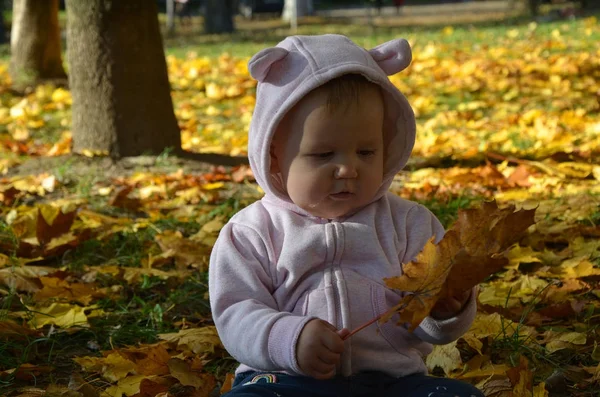 Schattig gelukkig meisje gooien de gevallen bladeren omhoog, spelen in de herfst park — Stockfoto