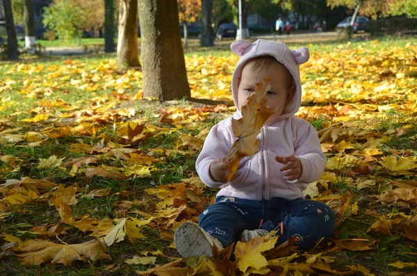 Petit garçon dans les feuilles d'automne — Photo