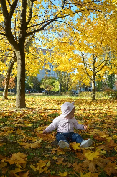 Sevimli mutlu kız düşen yaprakları fırlatıyor, sonbahar parkında oynuyor. — Stok fotoğraf