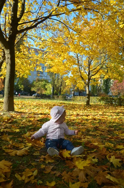 Kleine babyjongen in de herfst bladeren — Stockfoto