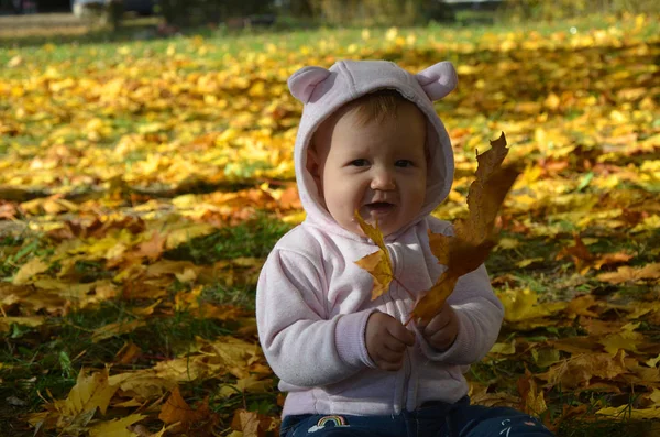Petit garçon dans les feuilles d'automne — Photo
