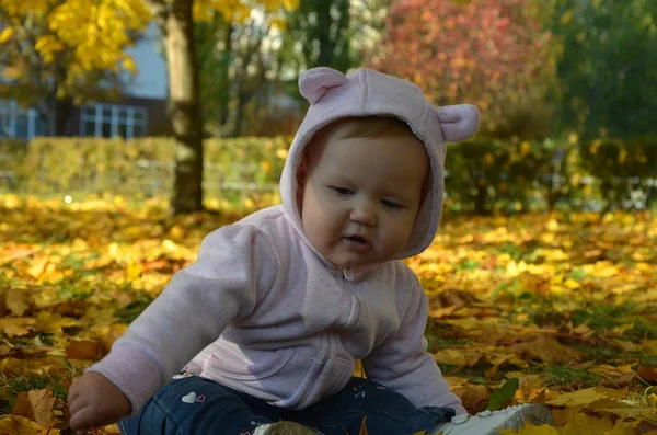 Kleine babyjongen in de herfst bladeren — Stockfoto