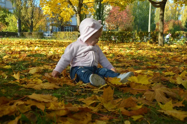 Entzückendes glückliches Mädchen, das die umgefallenen Blätter aufwirft und im Herbstpark spielt — Stockfoto