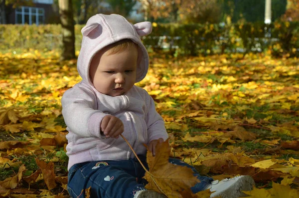 Kleine babyjongen in de herfst bladeren — Stockfoto