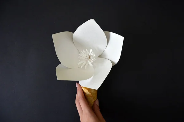 Beautiful paper flower in ice cream cone in girls hand with manicure on black background