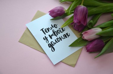 bahar çiçekleri banner - pembe ve mor Lale çiçek o demet