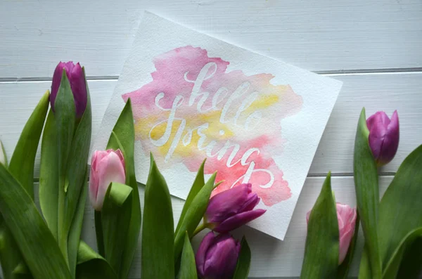 spring flowers banner - bunch of pink and violet tulip flowers on pink background, beautiful tulips on wooden background