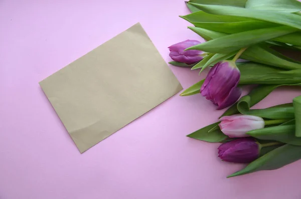 spring flowers banner - bunch of pink and violet tulip flowers o