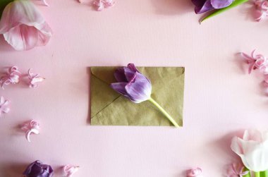 Bahar tatili için güzel çiçek tebrik kartı. Narin pembe Lale pembe bir arka plan üzerinde bir zarf içinde. Pastel bahar renkleri. Üstten Görünüm
