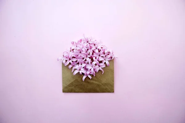 Vintage vierkante kaart met close-up geopende ambachtelijke papier envelop gevuld met lente bloesem paars lila bloemen. Bovenaanzicht, plat lag. — Stockfoto