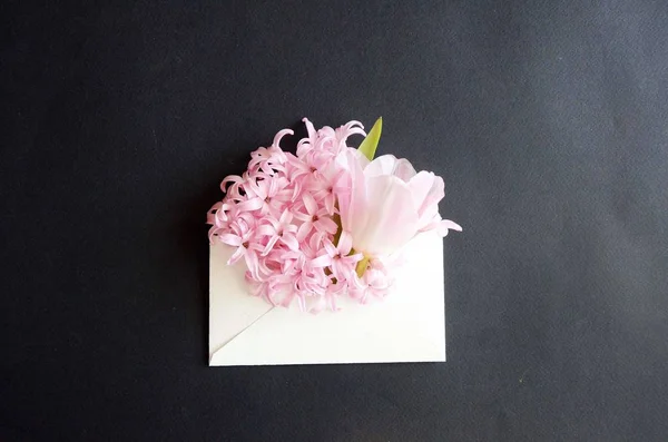 Prachtige bloemen wenskaart voor de lentevakantie. Delicate roze tulp in een envelop op een roze achtergrond. Pastel lente kleuren. Bovenaanzicht — Stockfoto