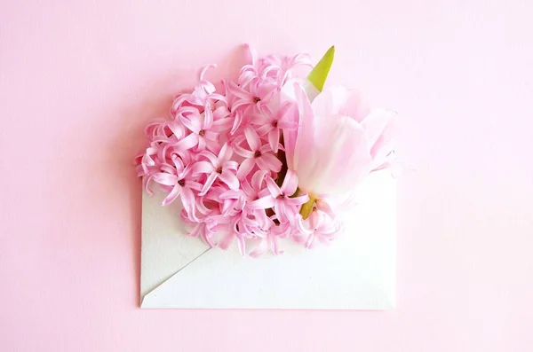 Bellissimo biglietto di auguri floreale per le vacanze primaverili. Delicato tulipano rosa in busta su fondo rosa. Colori pastello primavera. Vista dall'alto — Foto Stock